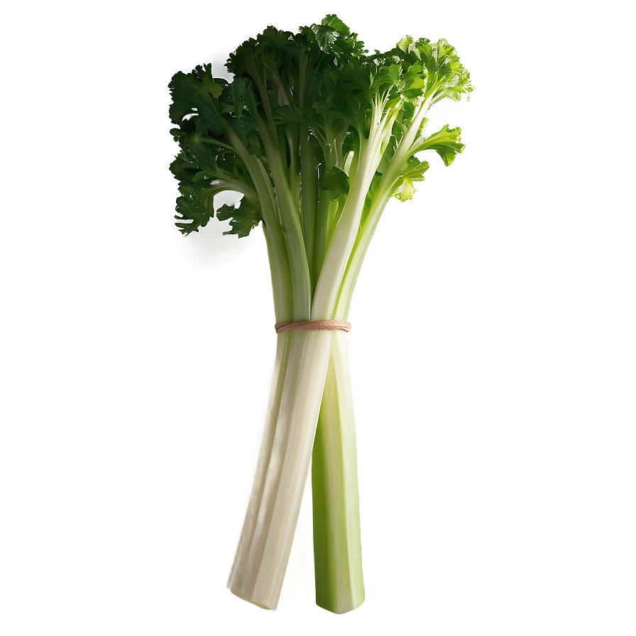Crisp Celery Bunch Png Ylr PNG