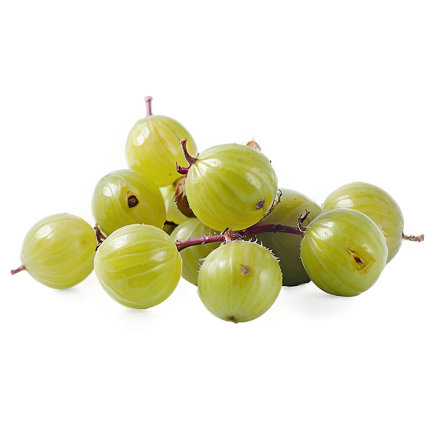 Crisp Gooseberry Png 05232024 PNG