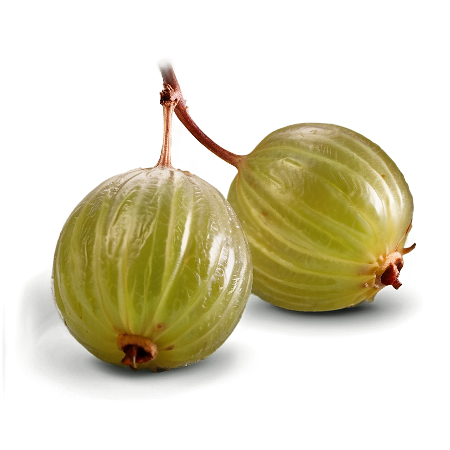 Crisp Gooseberry Png Fid84 PNG