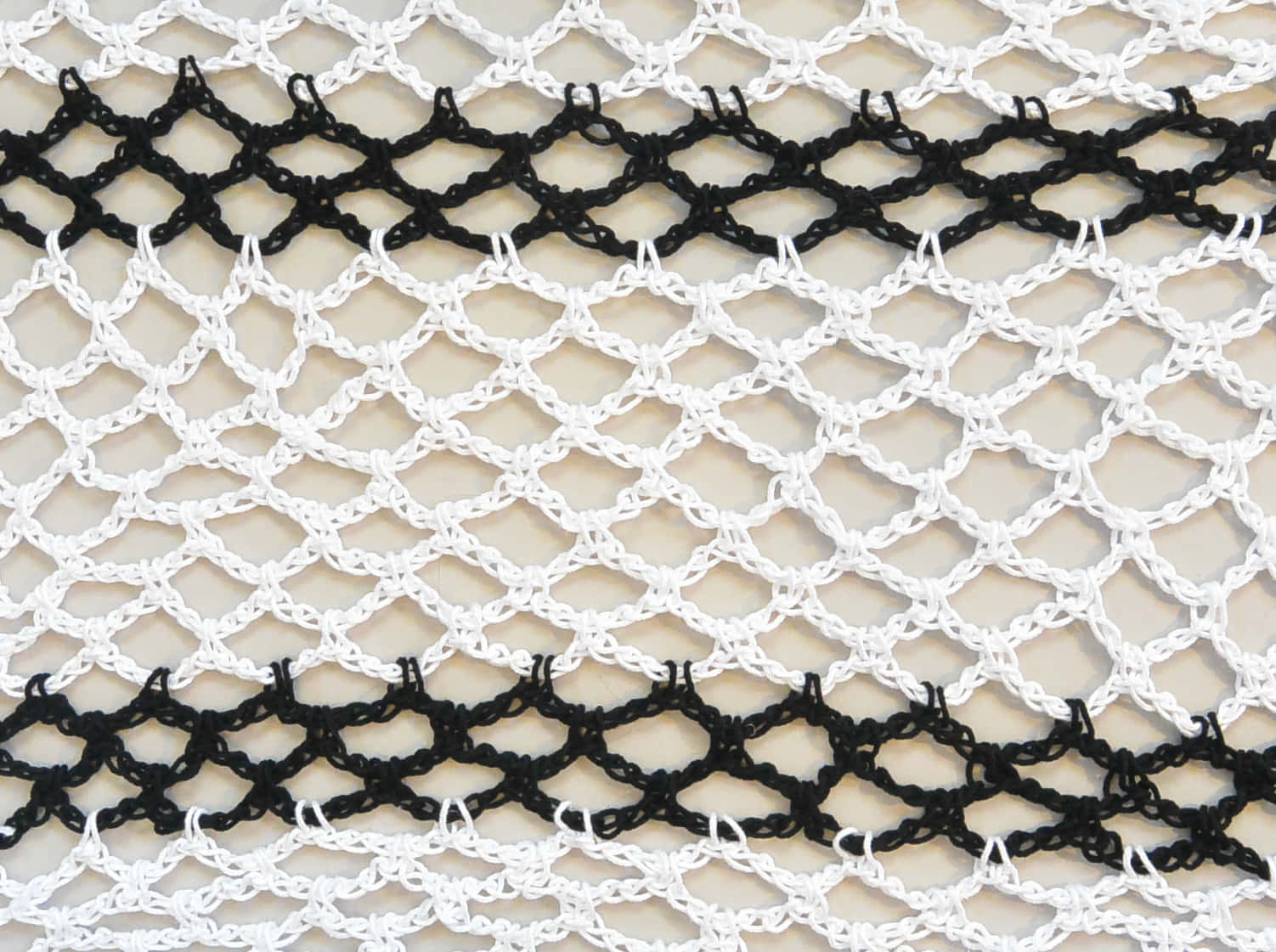 Net Crochet Picture