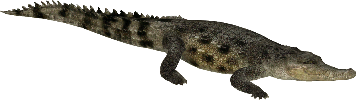 Crocodileon Transparent Background PNG