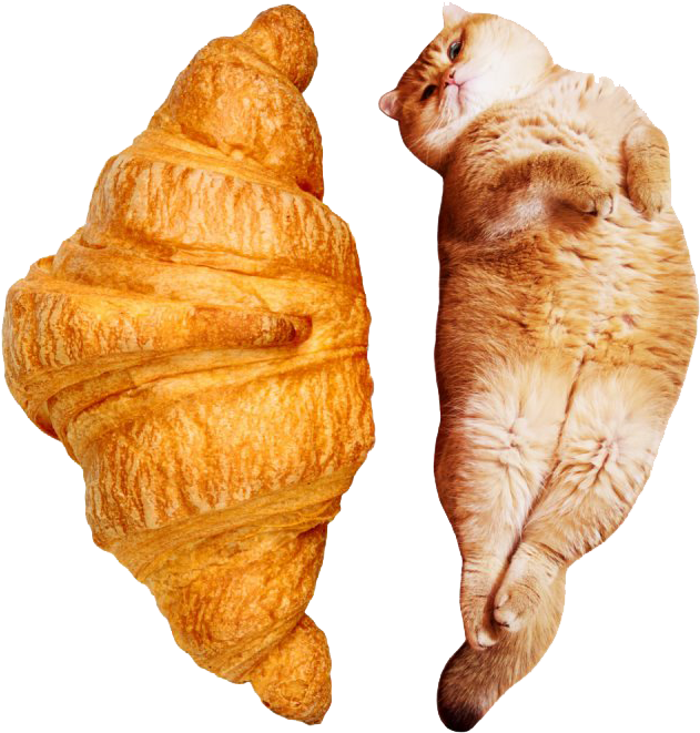 Croissant Cat_ Mirrored Symmetry PNG