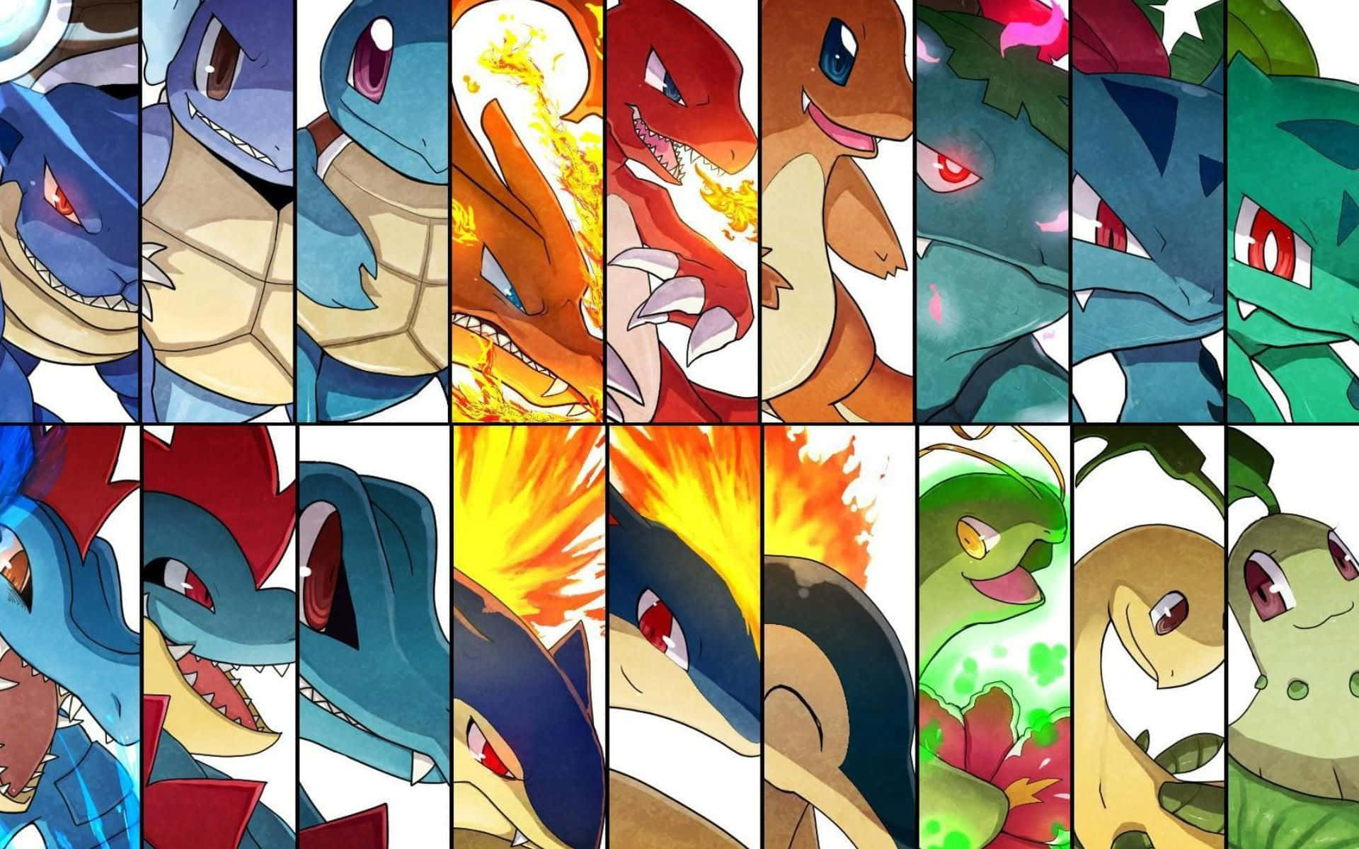 Cropped Faces Of Wartortle And Other Pokémon Wallpaper