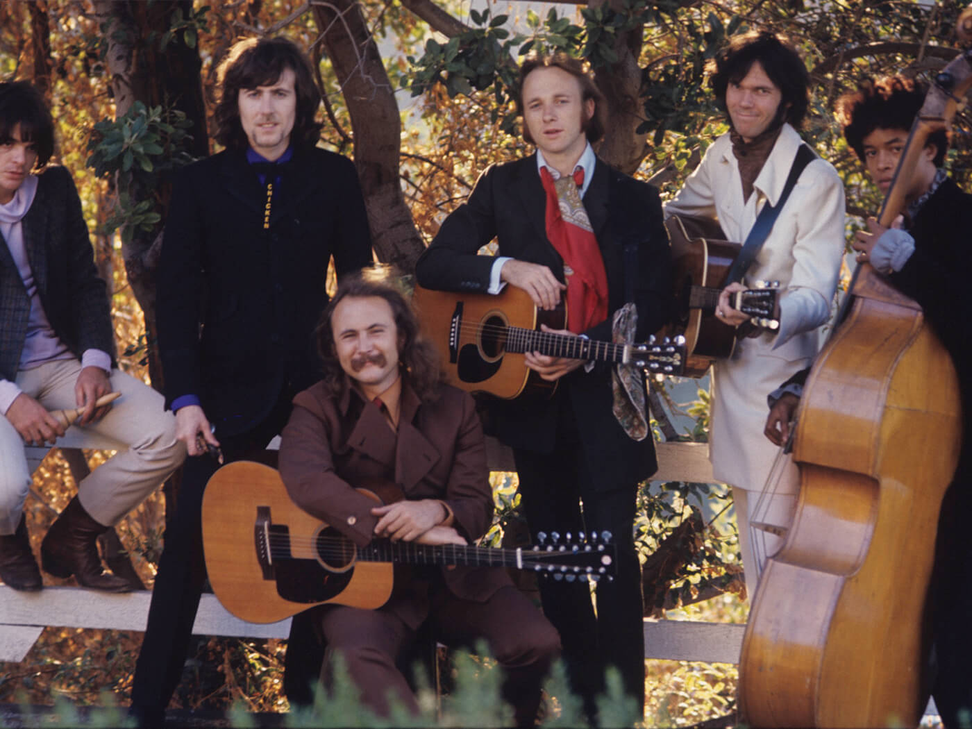 Crosby, Stills, Nash & Young Forest Wallpaper