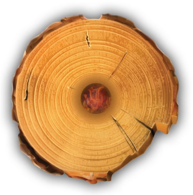 Cross Sectionof Tree Trunk PNG