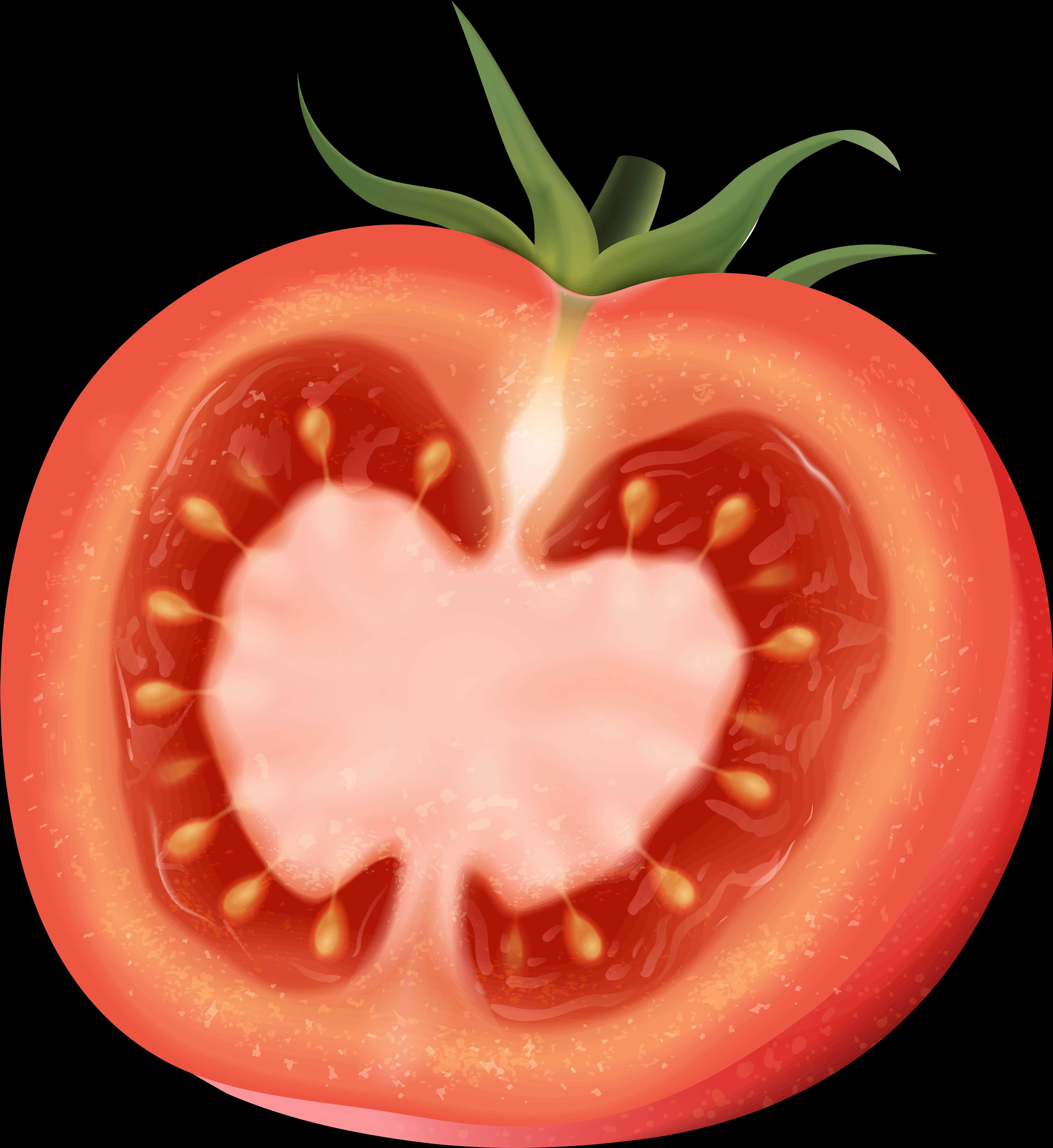 Cross Sectionofa Tomato PNG