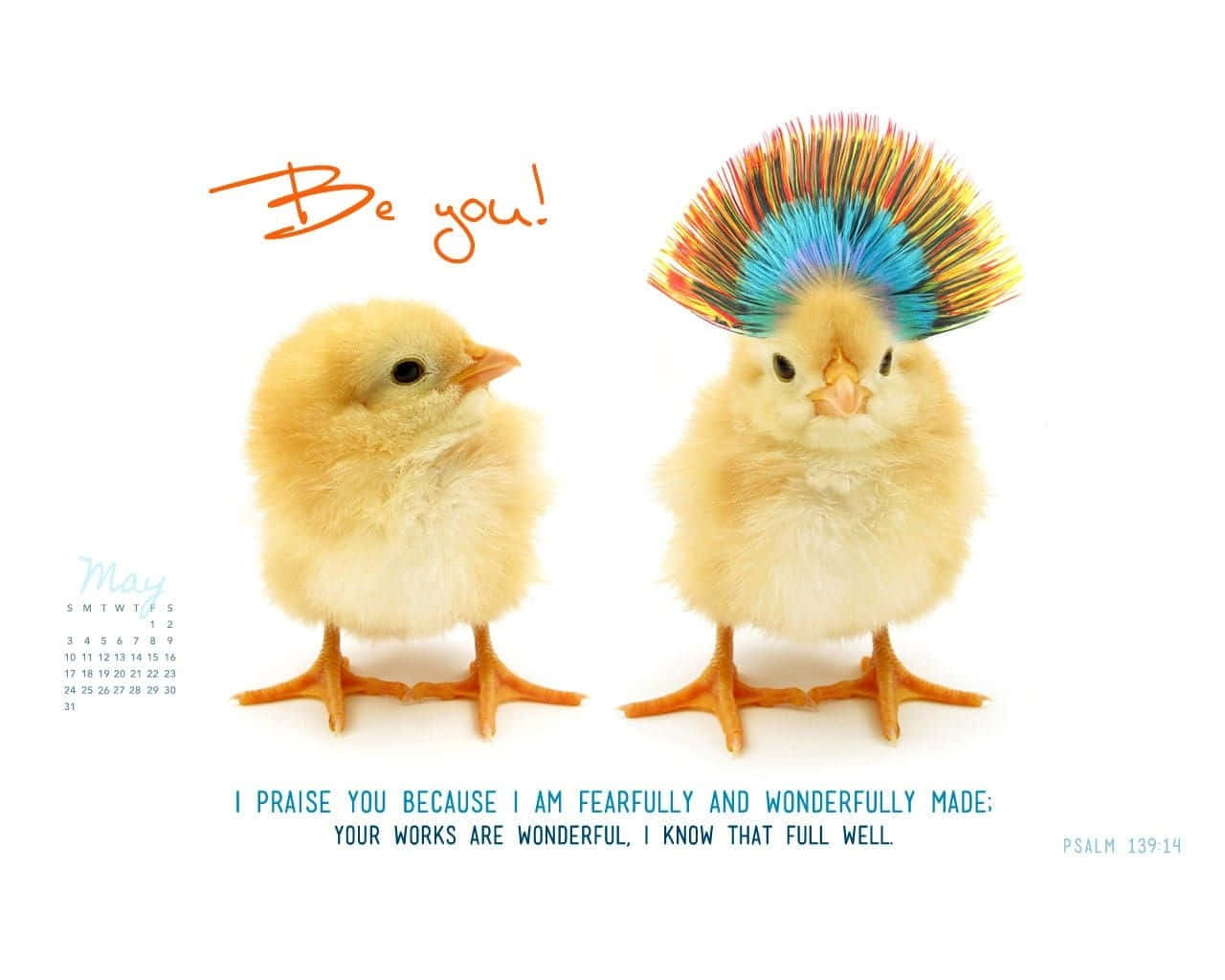 Two Chickens With Colorful Hair On Their Heads Wallpaper