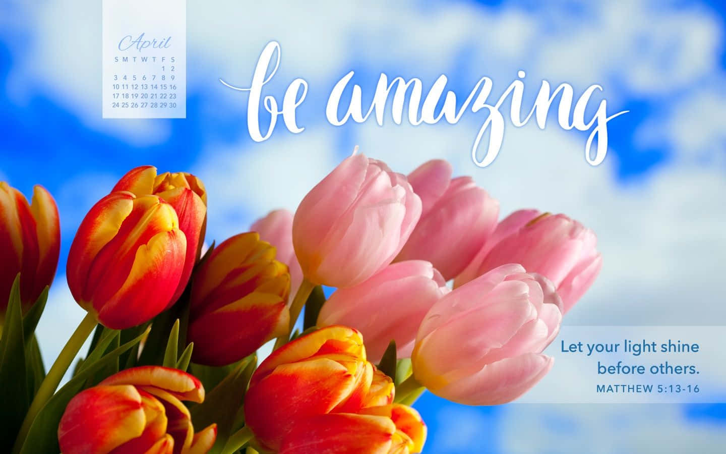 Be Amazing Tulips - A Beautiful Image Of Tulips Wallpaper
