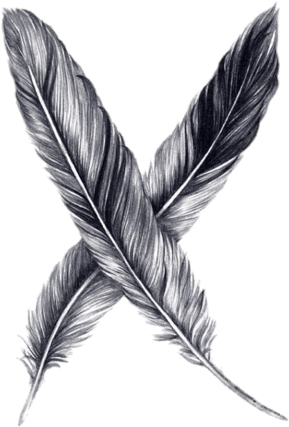 Crossed Feathers Drawing PNG
