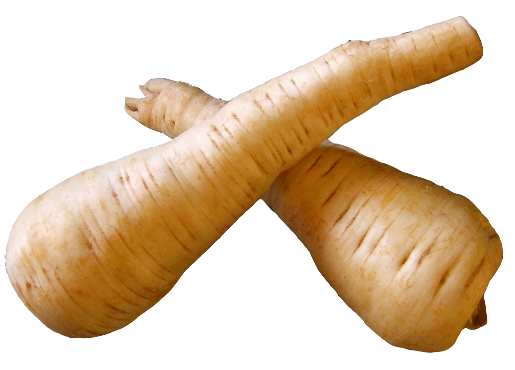 Crossed Parsnips Isolated PNG