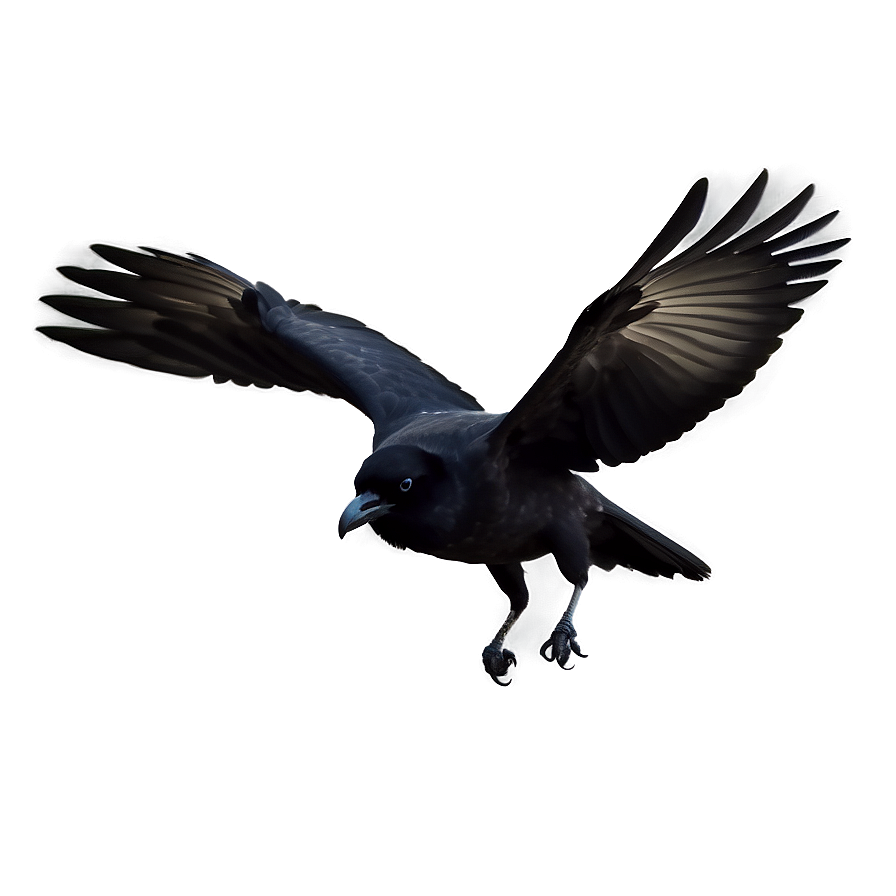 Download Crow In Flight Png 5 | Wallpapers.com