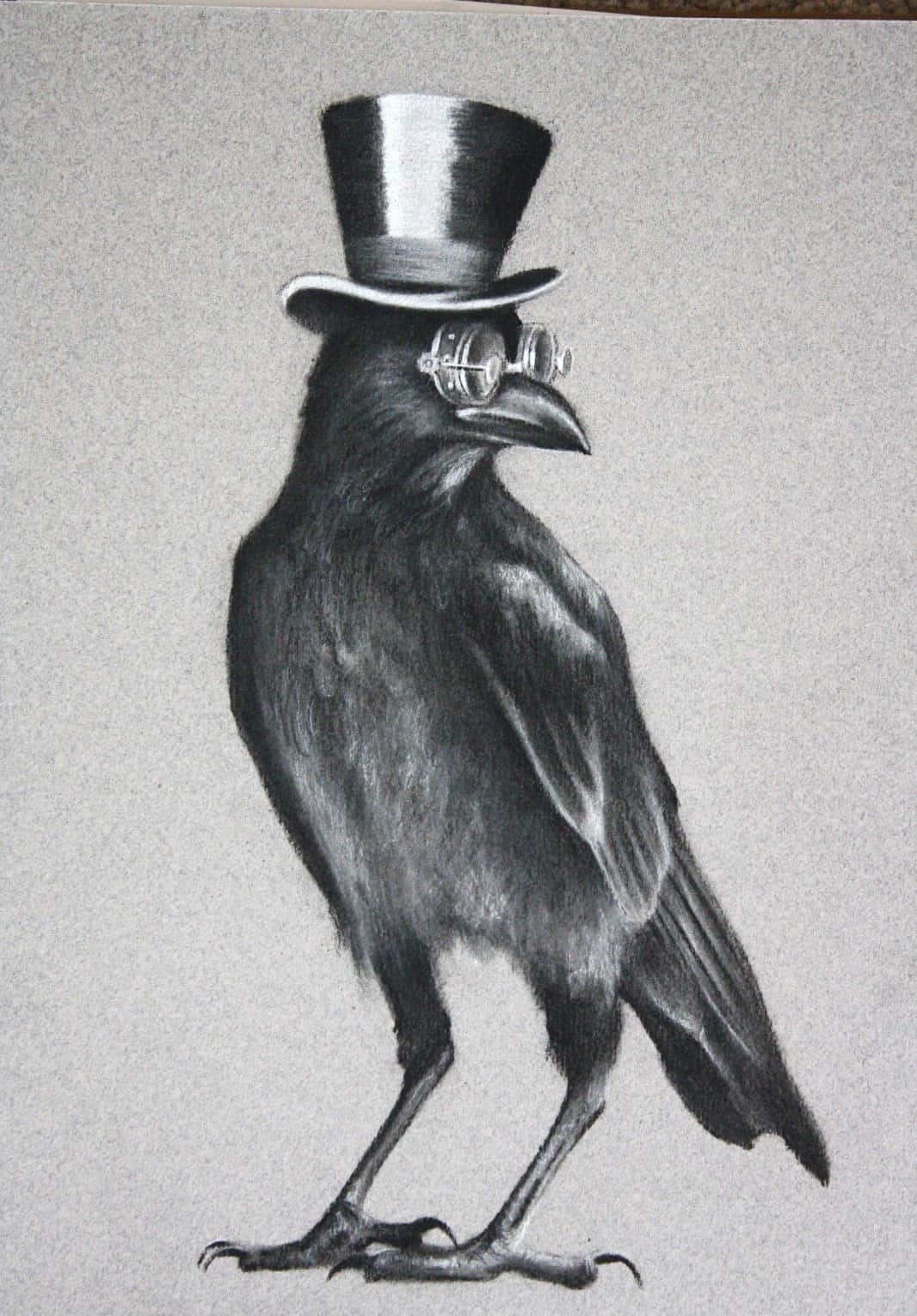 Crow Pictures