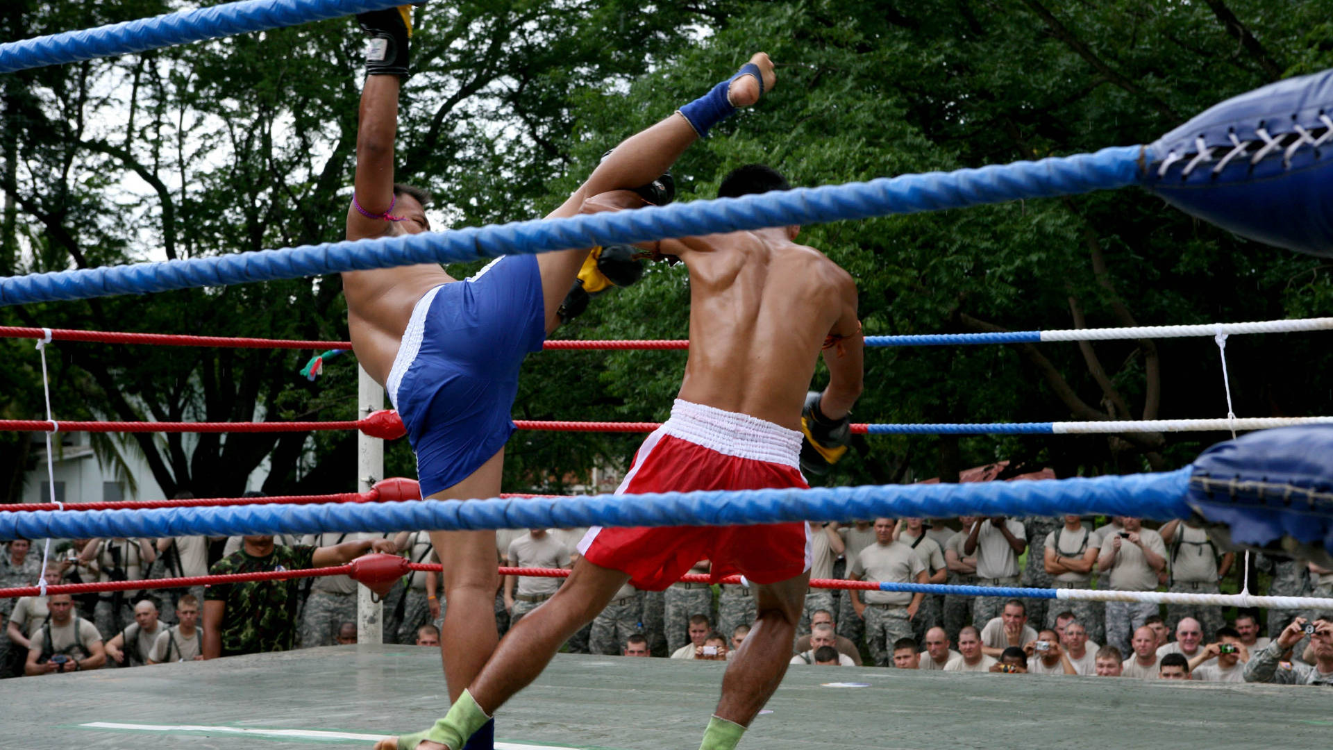 Combatede Muay Thai Concurrido. Fondo de pantalla