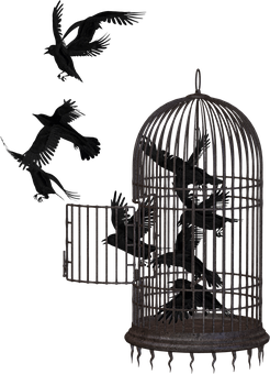 Crows Escaping Cage Dark Background PNG