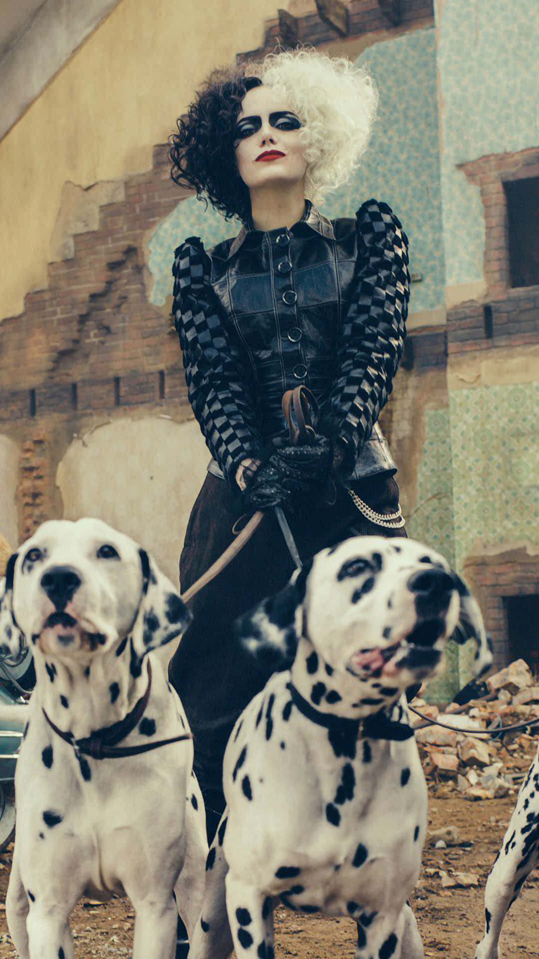 a woman with dalmatian dogs on a leash