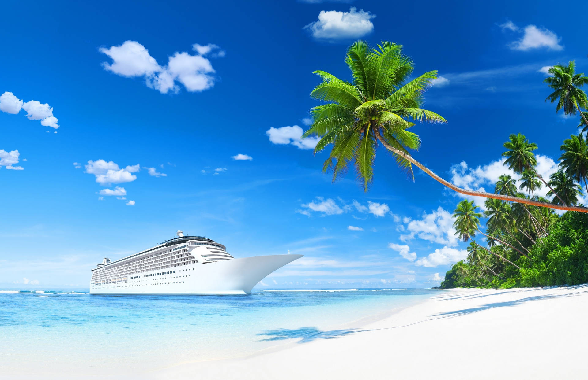 Carnival cruise 1080P, 2K, 4K, 5K HD wallpapers free download | Wallpaper  Flare