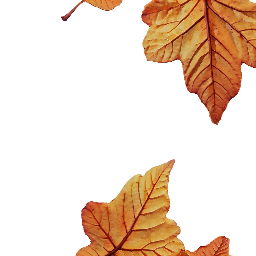 Crumbled Fall Leaves Png 05042024 PNG