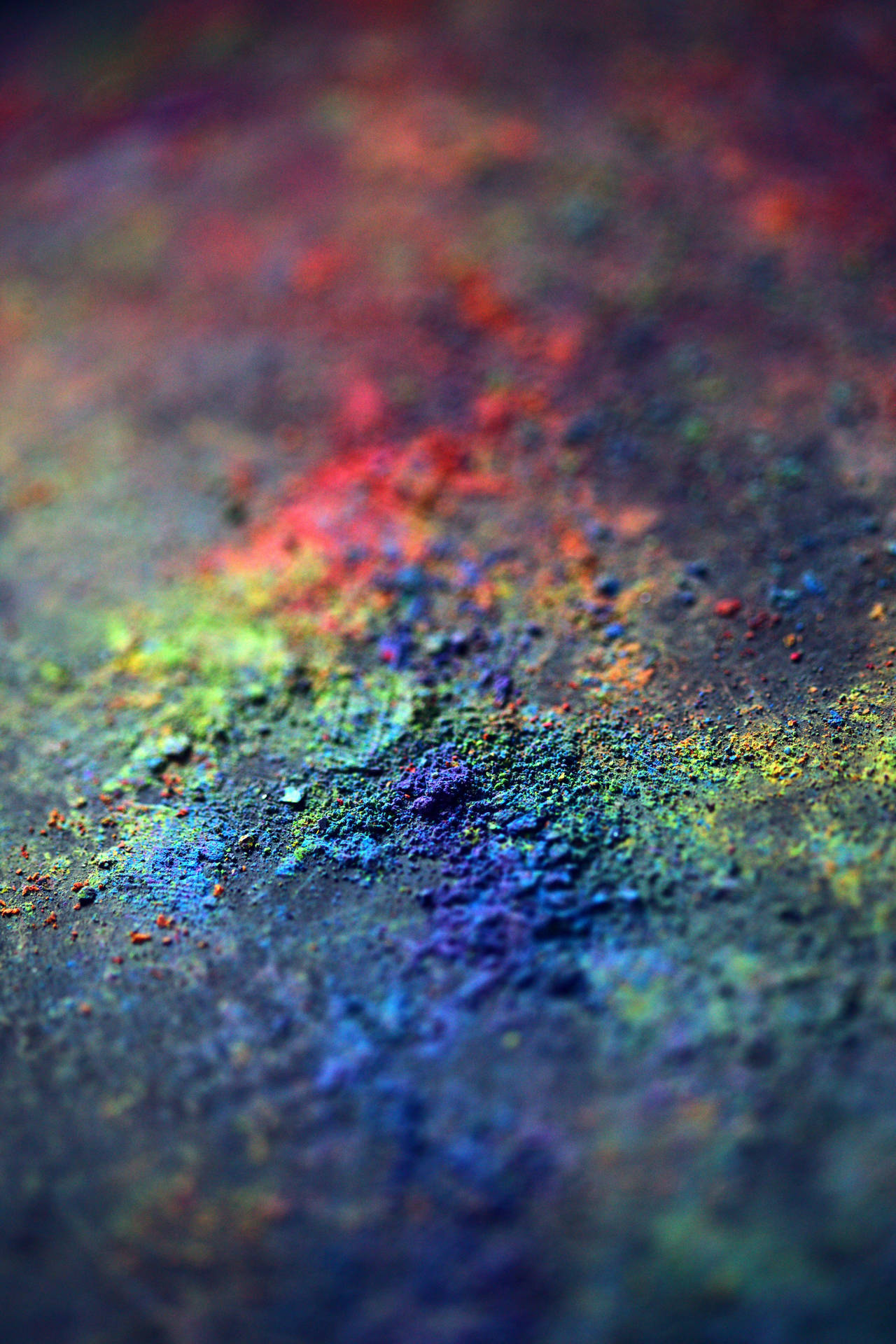 Crushed Powder From Happy Holi HD Wallpaper