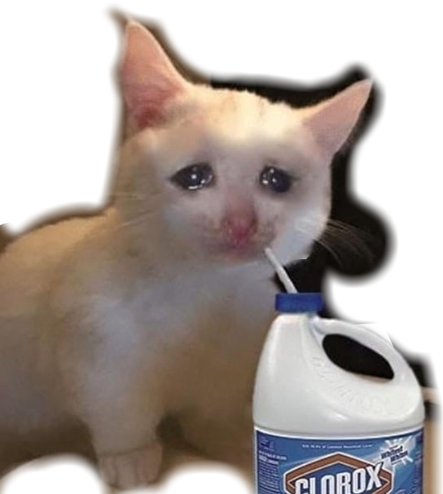 Crying Cat With Bleach Meme PNG