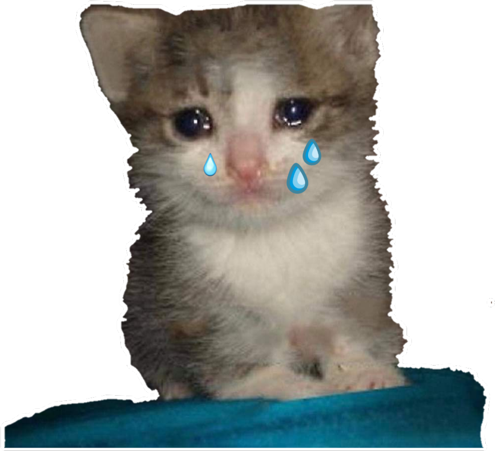 download-crying-kitten-meme-png-wallpapers