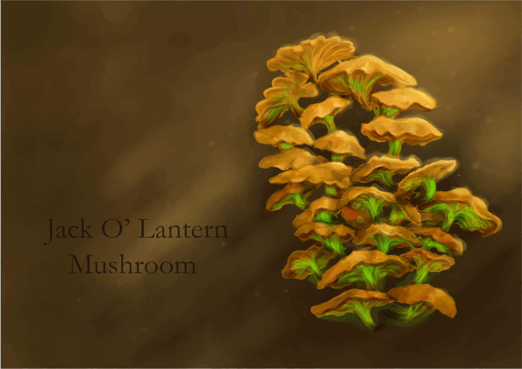 Cryptic Lantern Mushroom Wallpaper