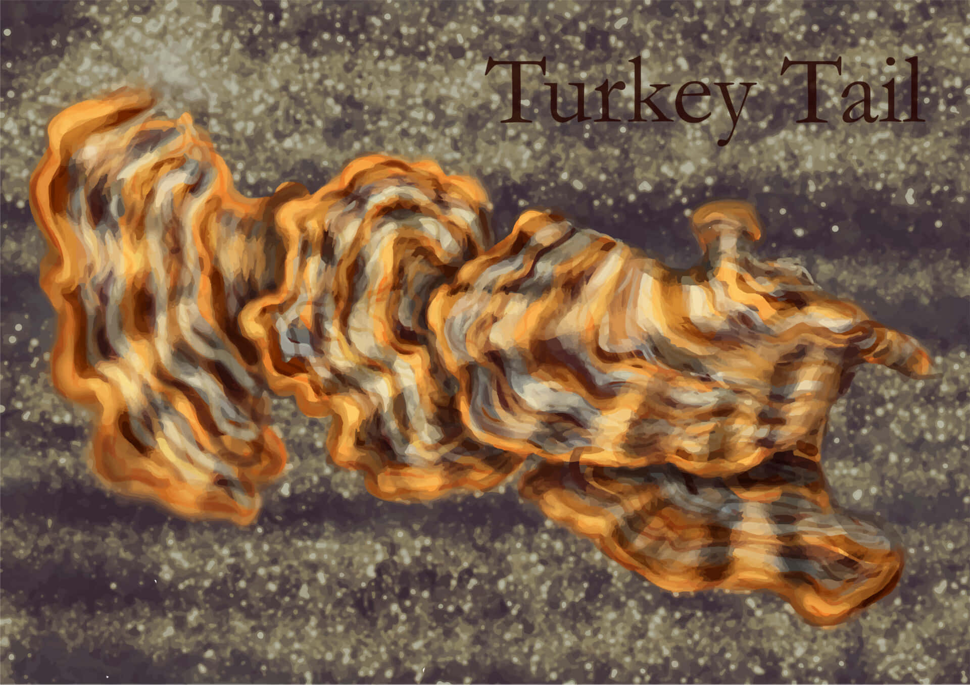 Cryptic Turkey Tail Painting Wallpaper