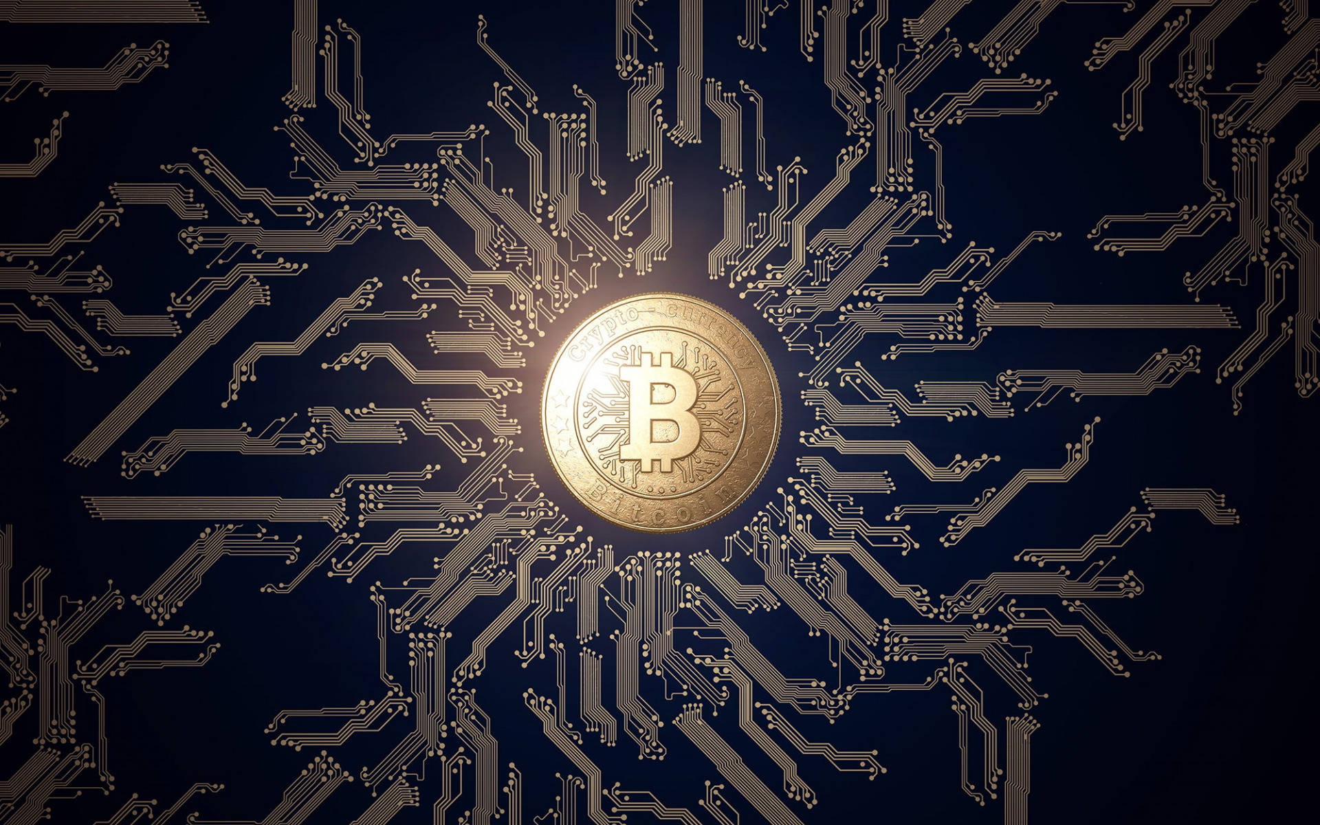 Crypto Bitcoin In Navy Blue Motherboard Picture