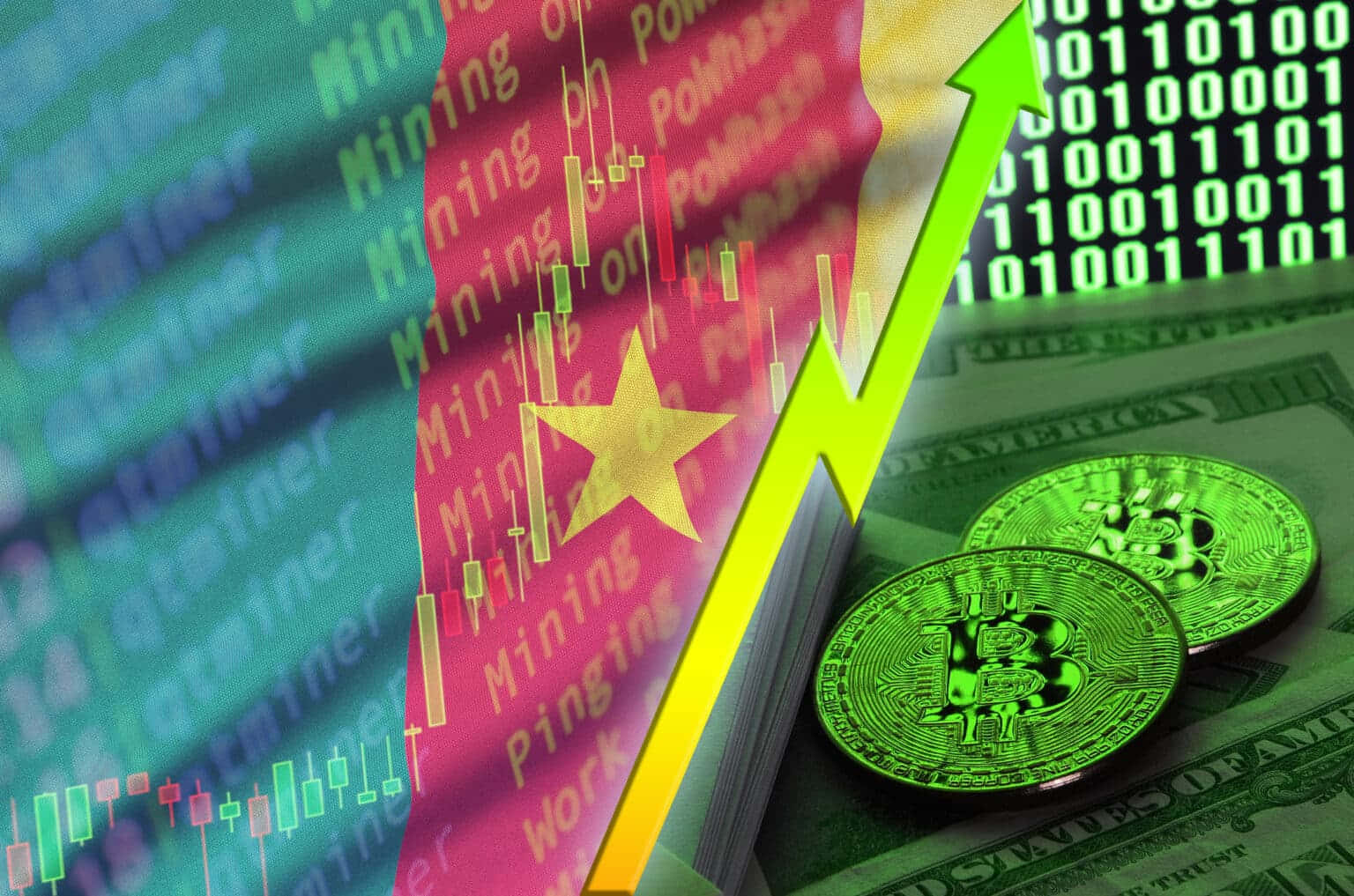 bitcoin and the vietnam flag
