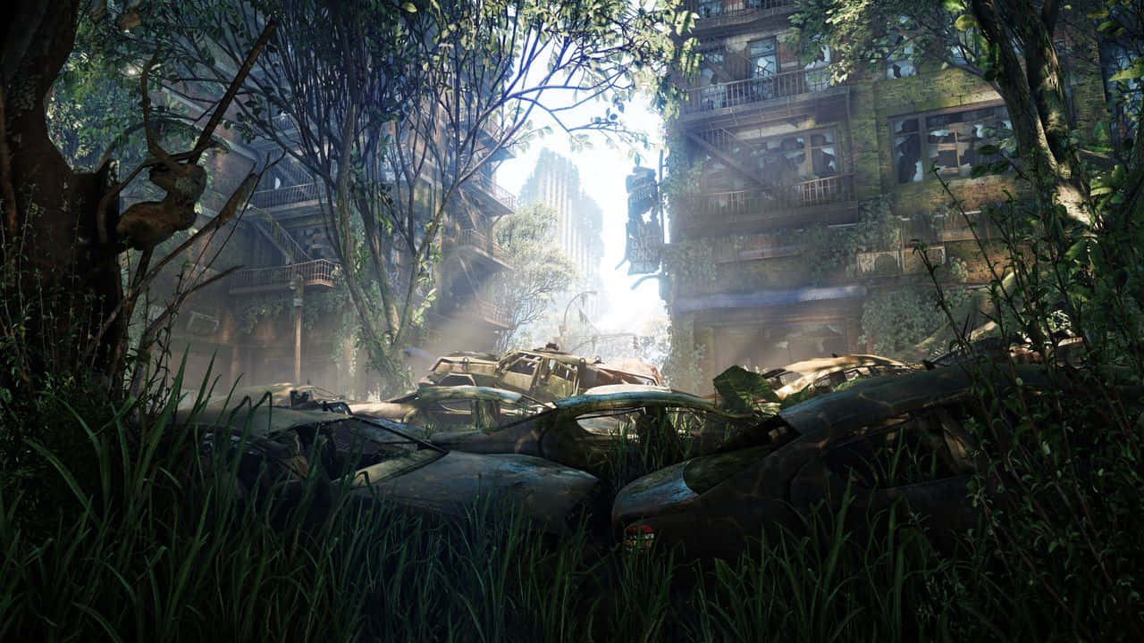 Udforsk byen i Crysis 3 Wallpaper