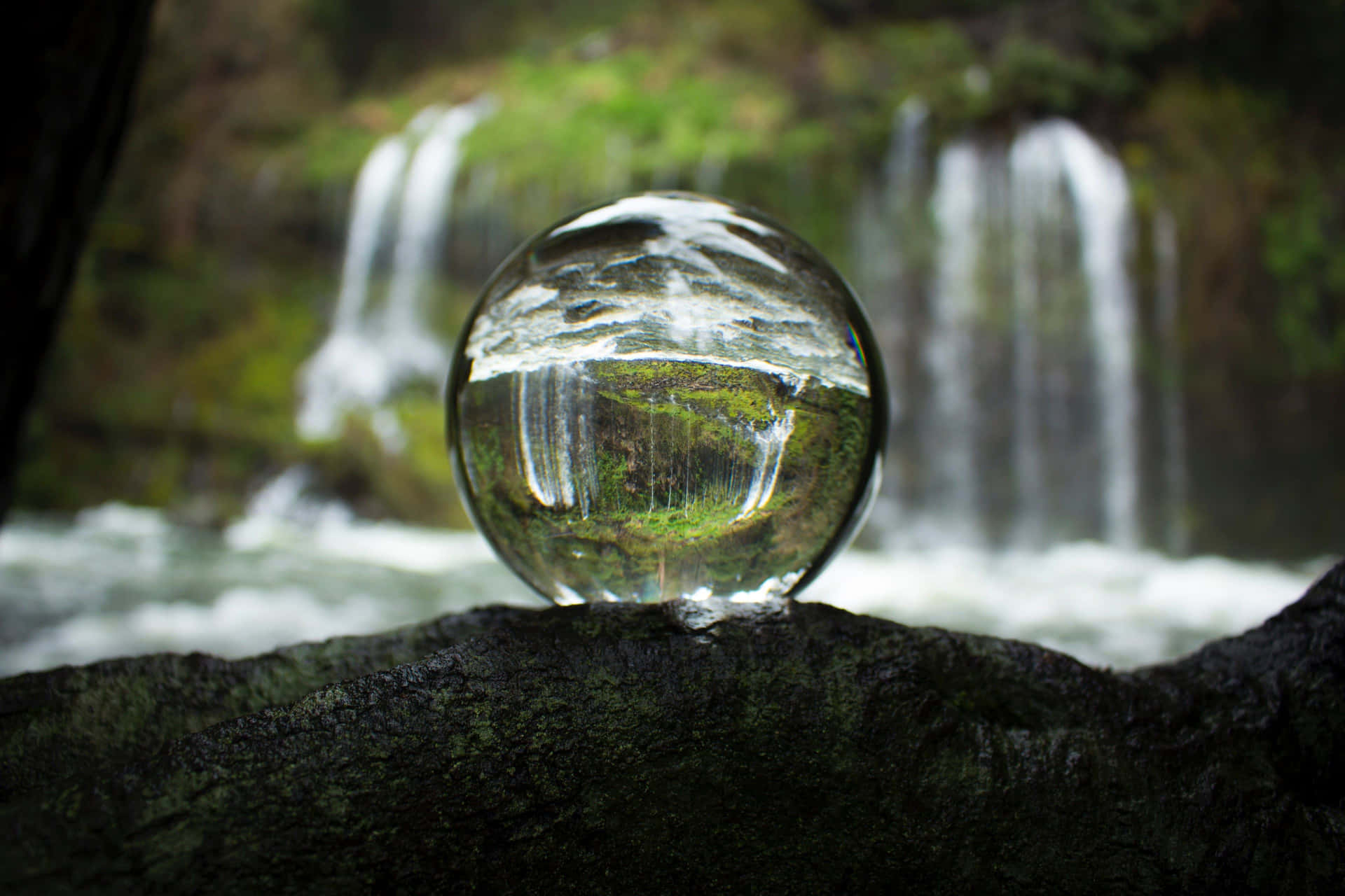 Mystical Crystal Ball in Nature Wallpaper
