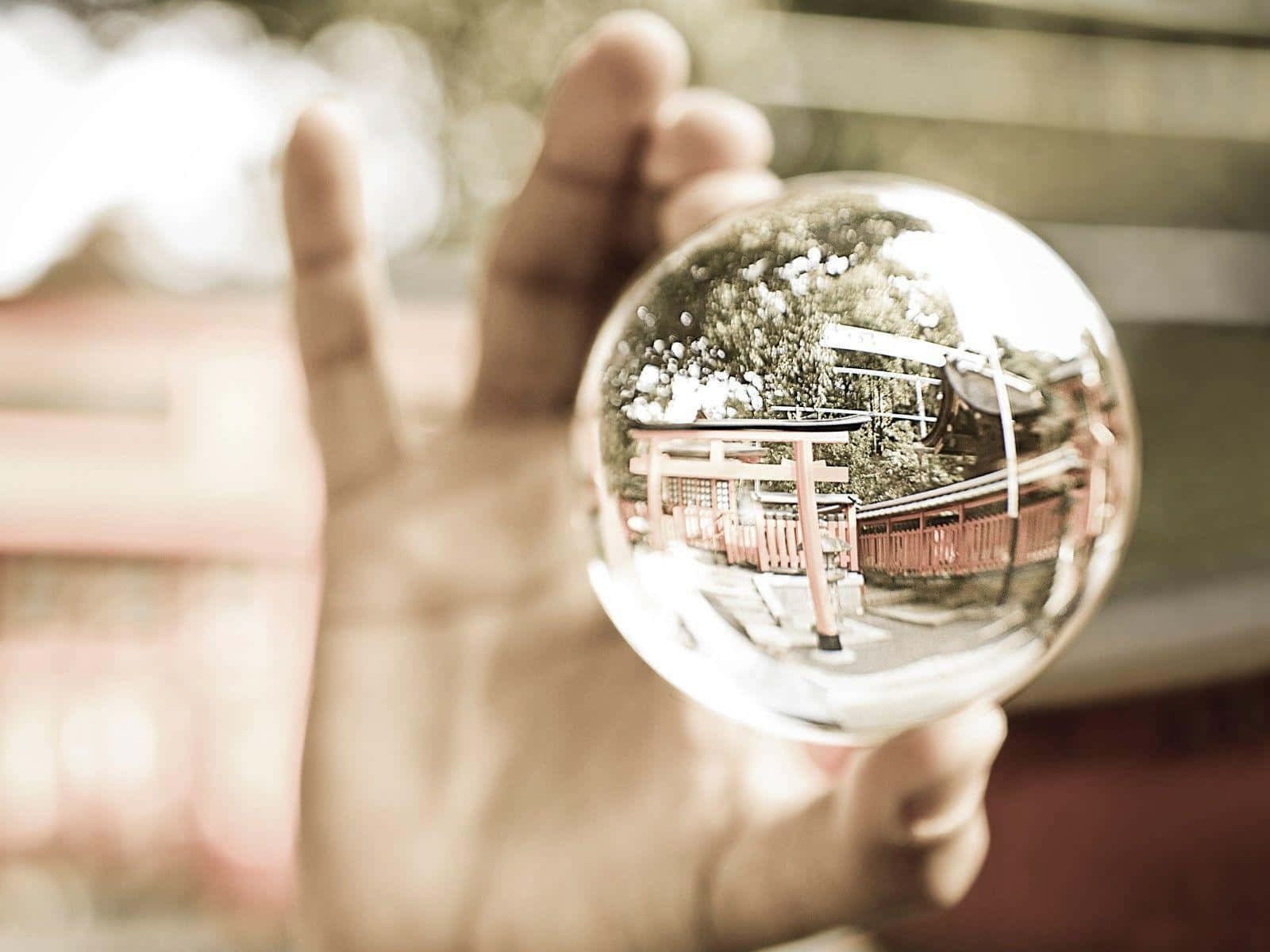 Reflejo De Bola De Cristal Fondo de pantalla