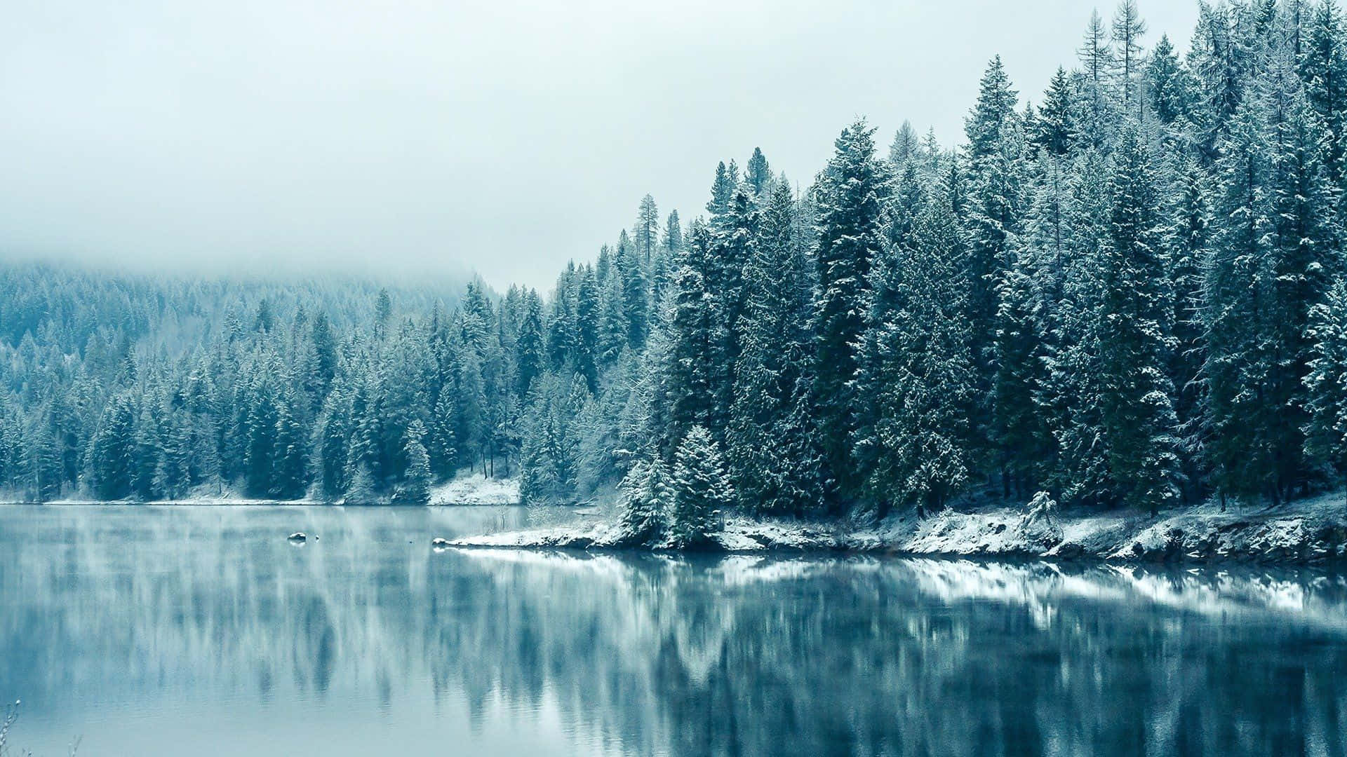 Crystal-clear Lake Cozy Winter Aesthetic Landscape Photography Wallpaper