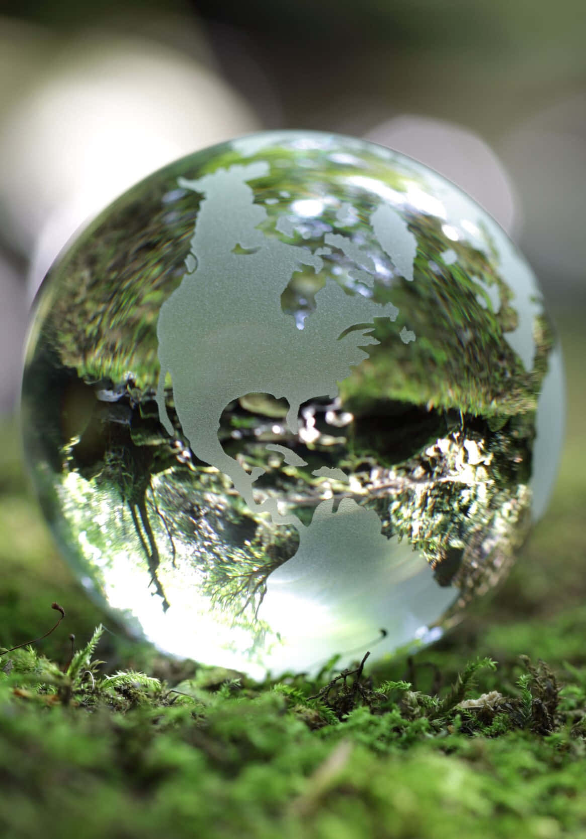Crystal Globe Forest Reflection Wallpaper
