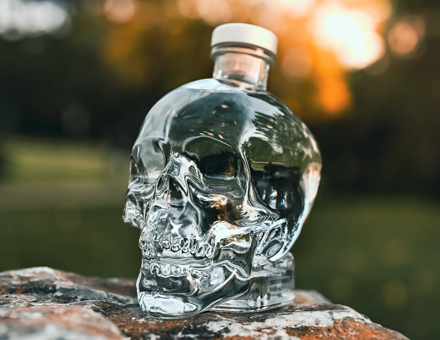 Crystal Head Vodka At The Park Picture