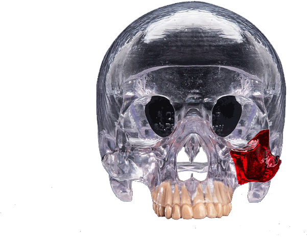 Crystal Skullwith Red Crystal Detail PNG