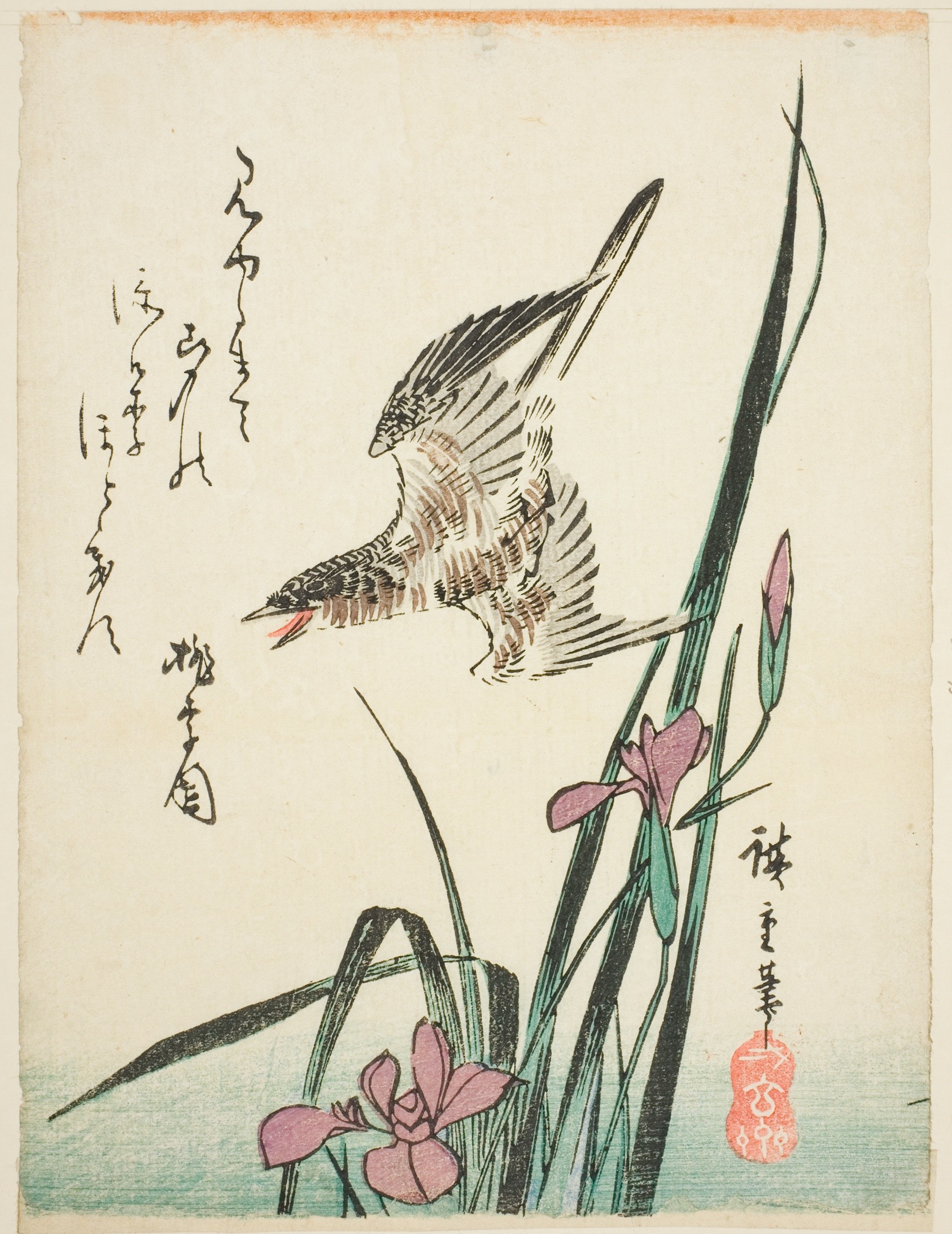 Cuckoo flying over iris Wallpaper
