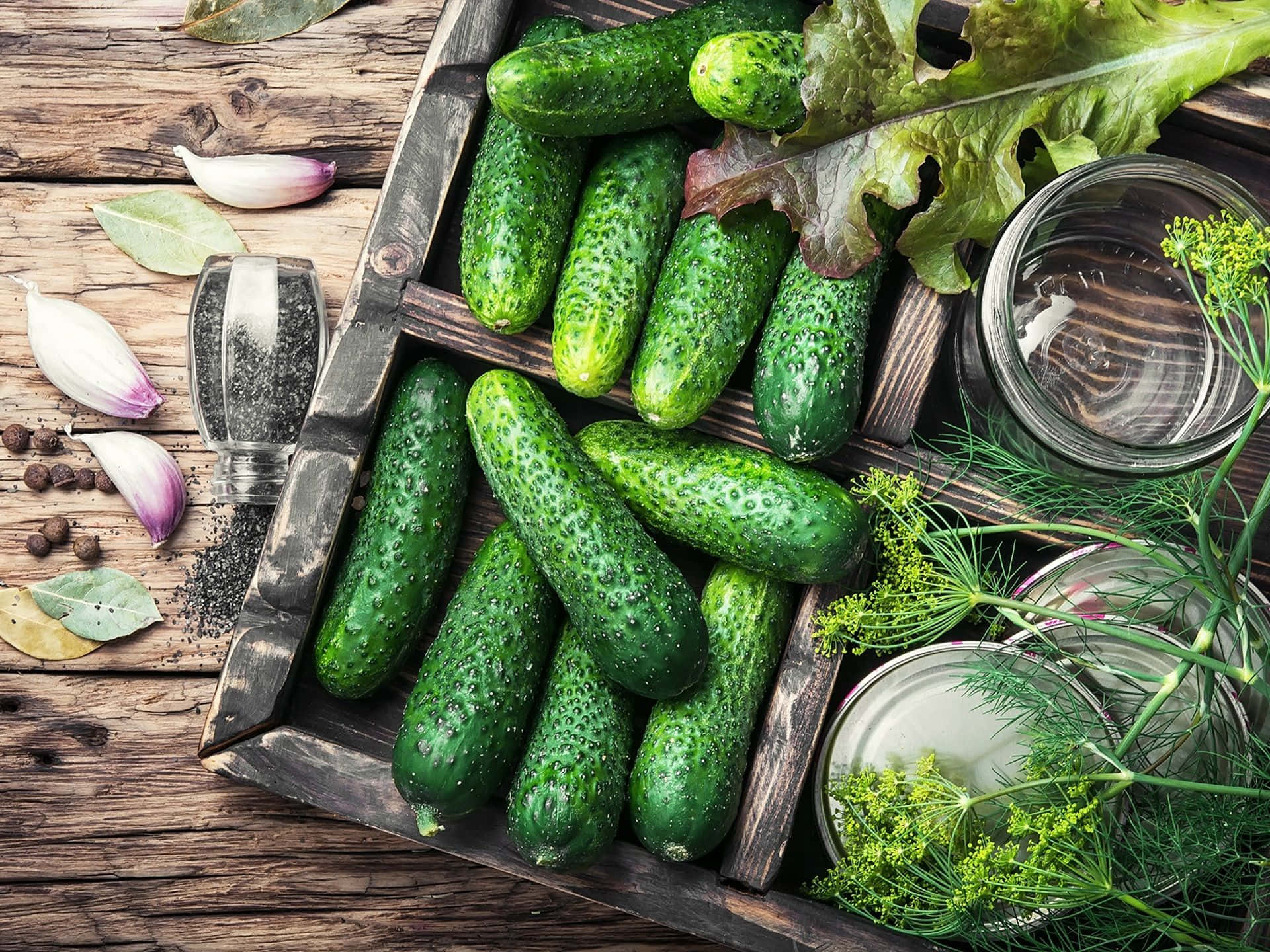 Fresh Green Cucumbers Ready To Enjoy