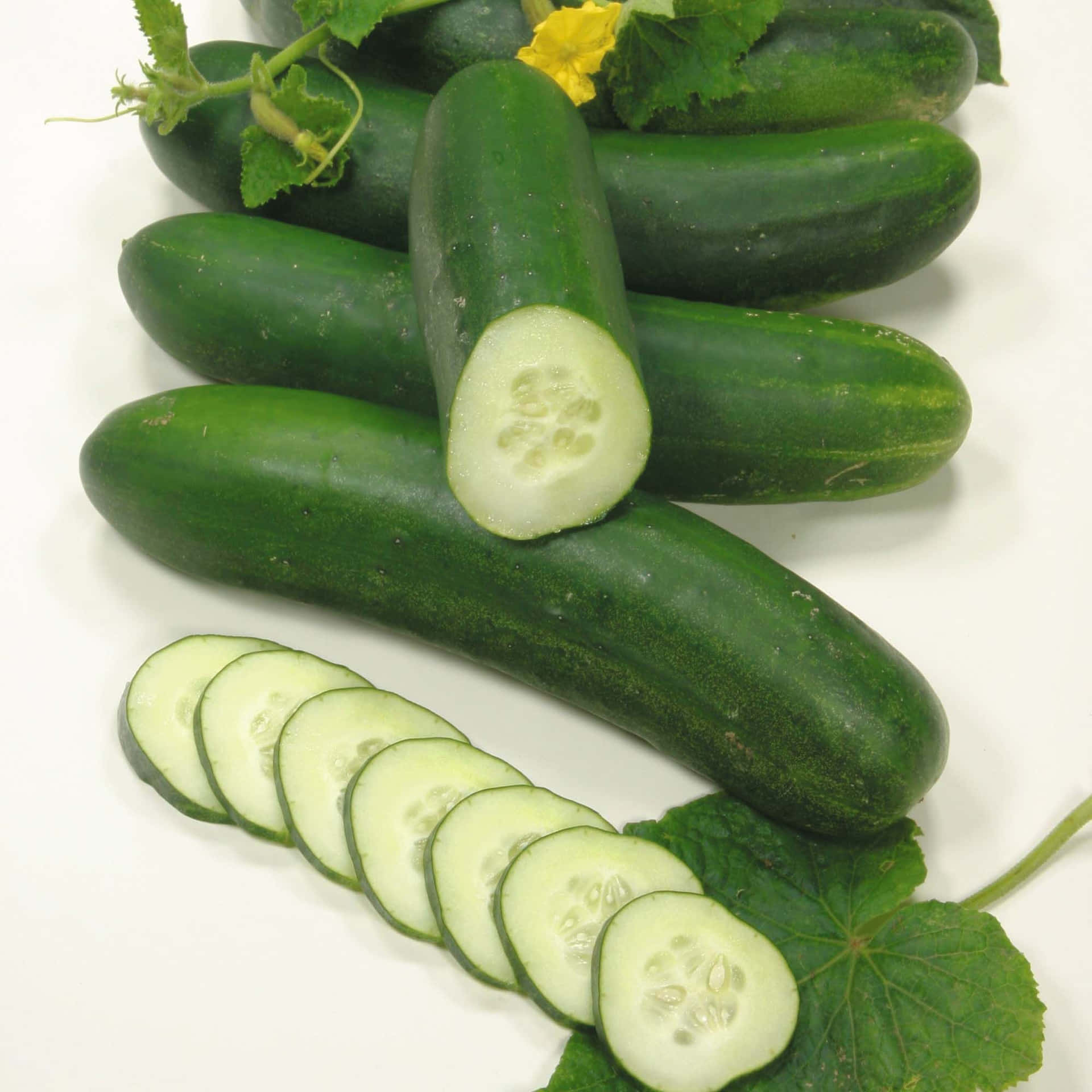 "Vibrant Green Cucumbers"