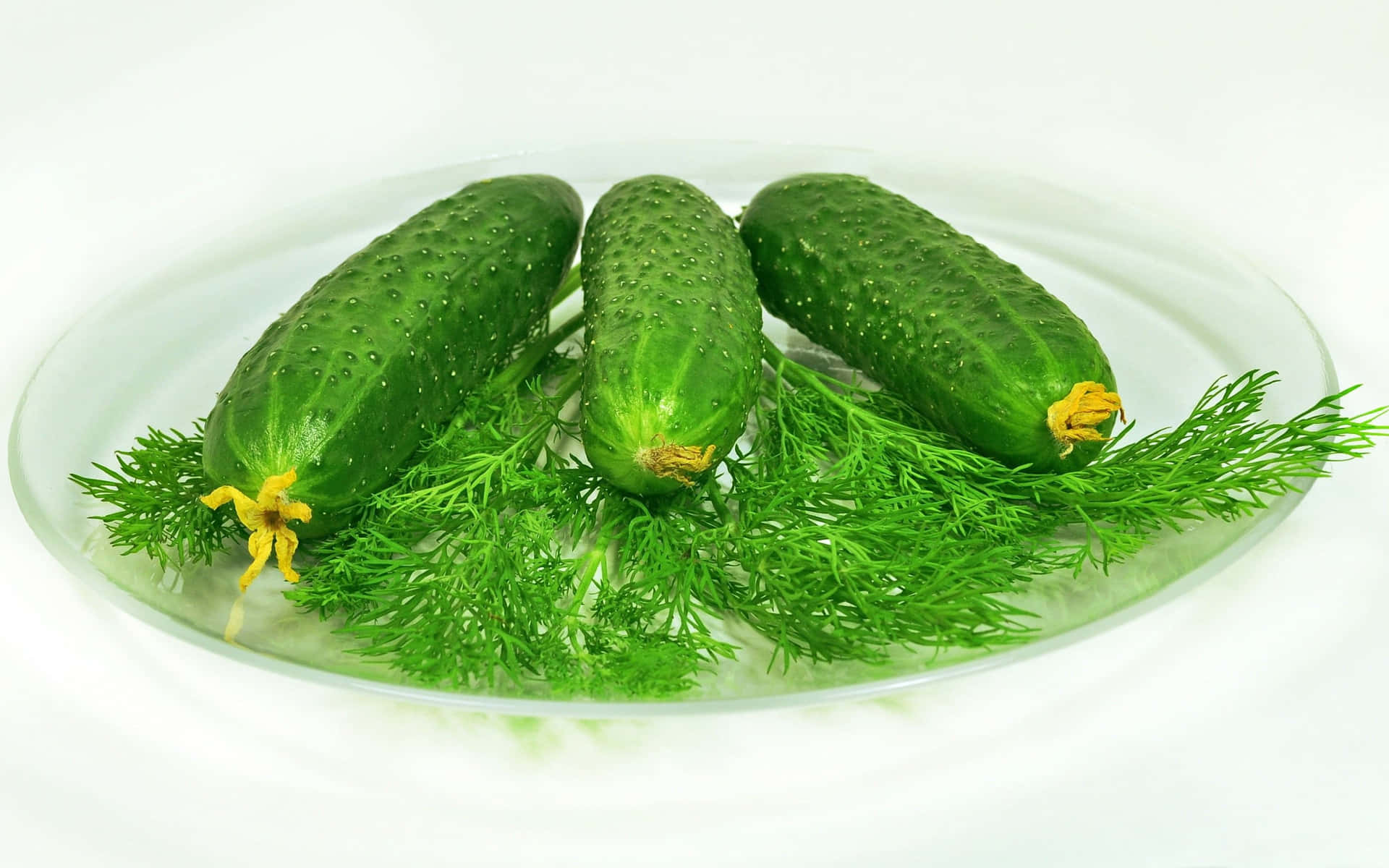 A Plate With Cucumbers