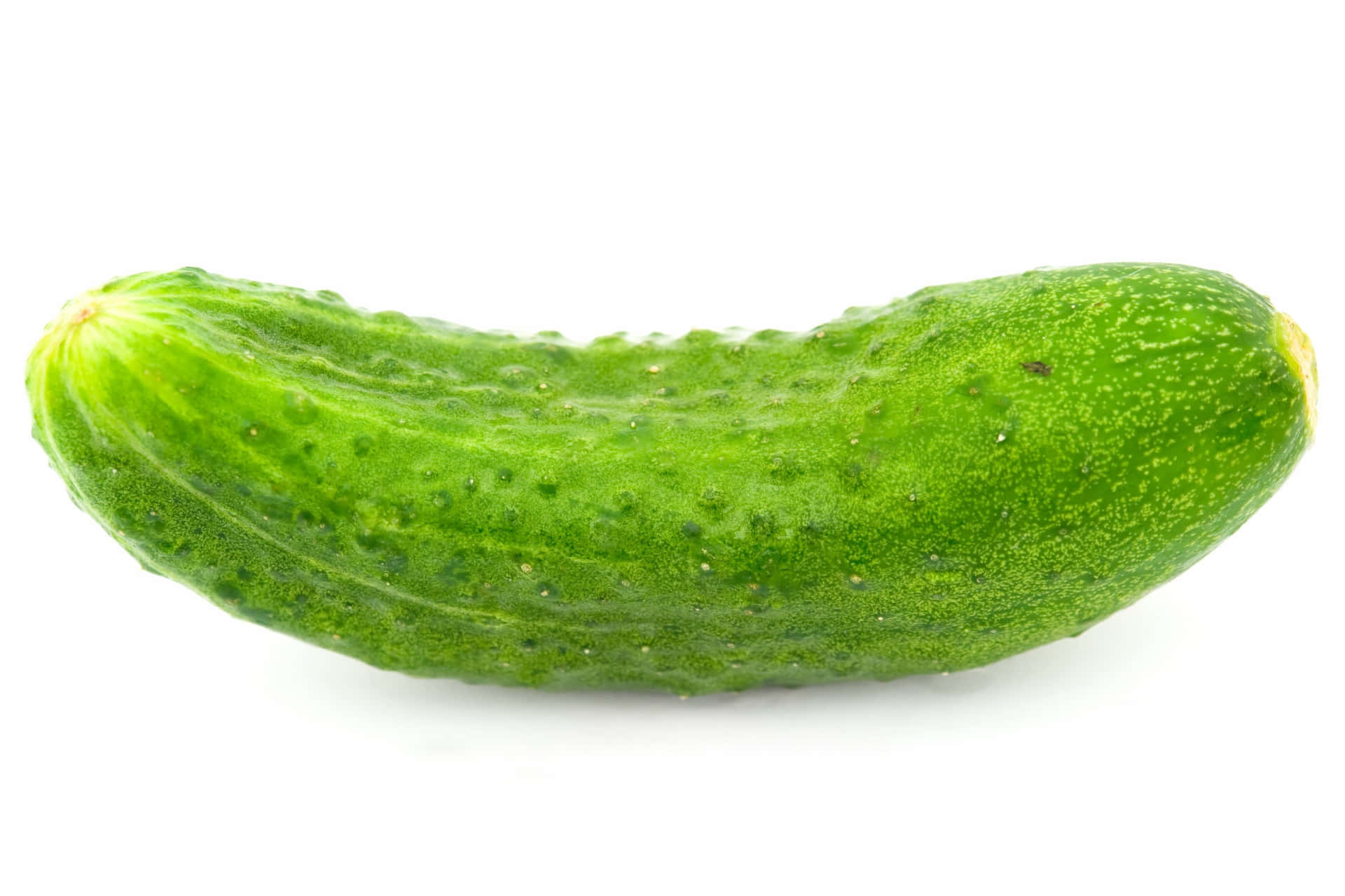Close up of a Cucumber