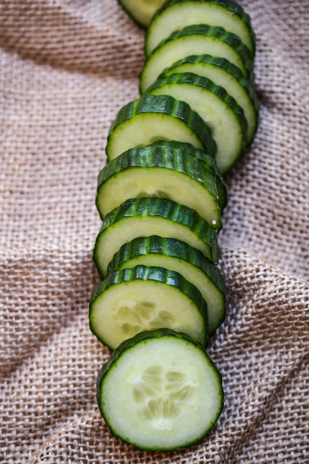 An Image of Freshly Picked Cucumber
