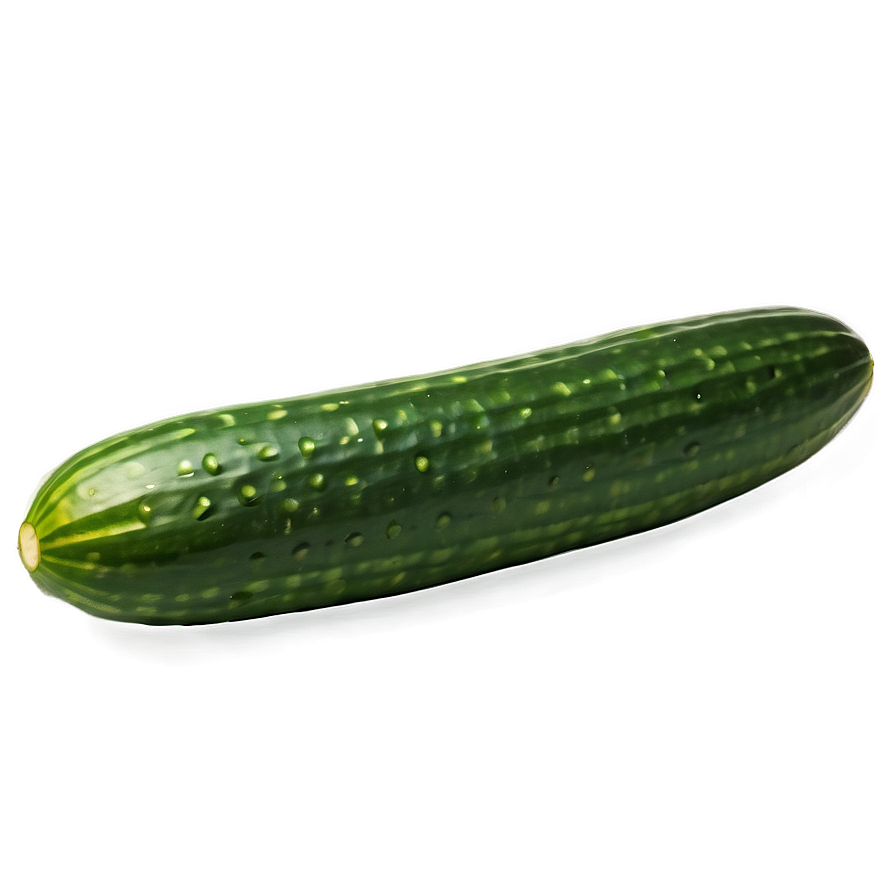 Cucumber Boat Png 05242024 PNG