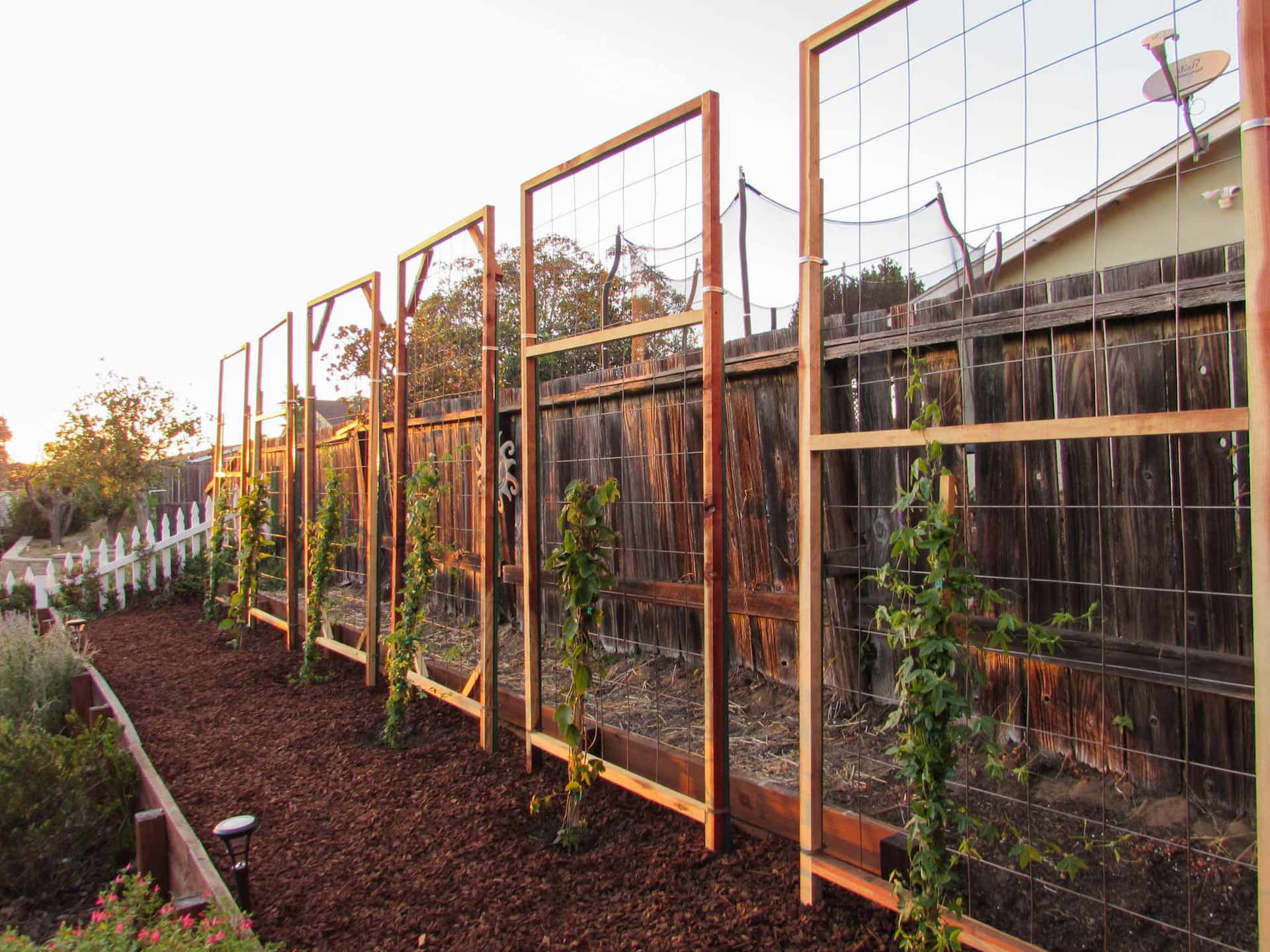 A beautifully crafted cucumber trellis, perfect for the garden.