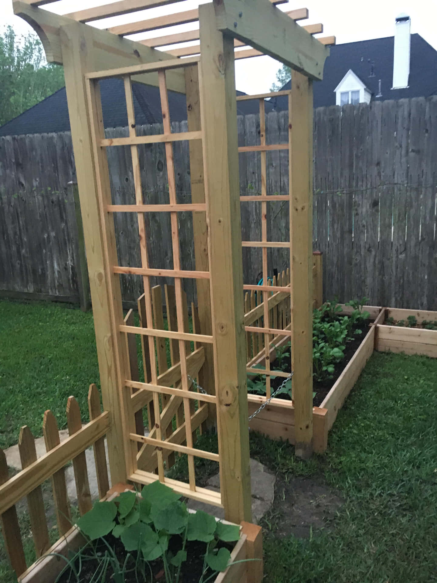 Maximize Your Harvest with a Cucumber Trellis