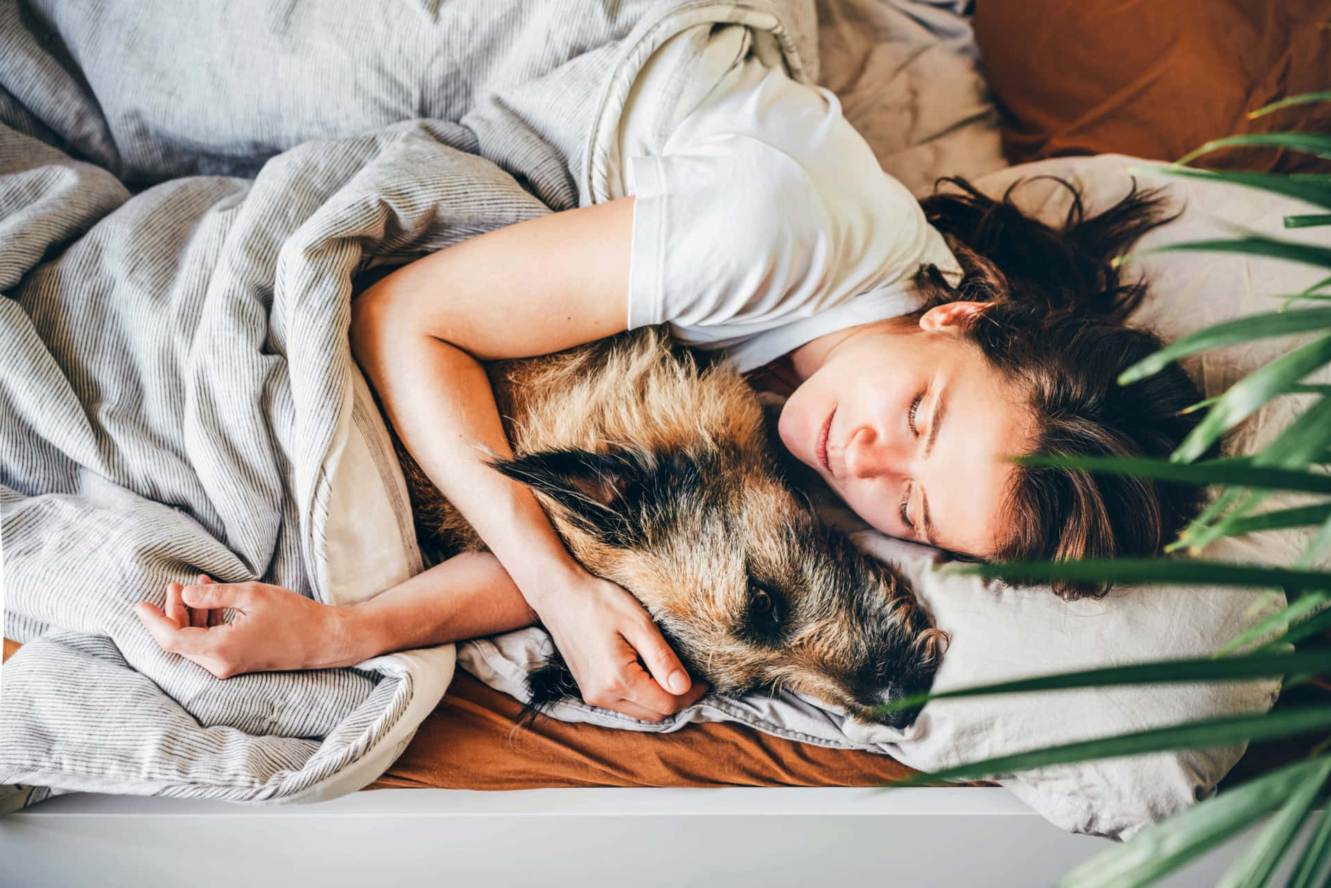 Woman Sleeping With Dog In Bed