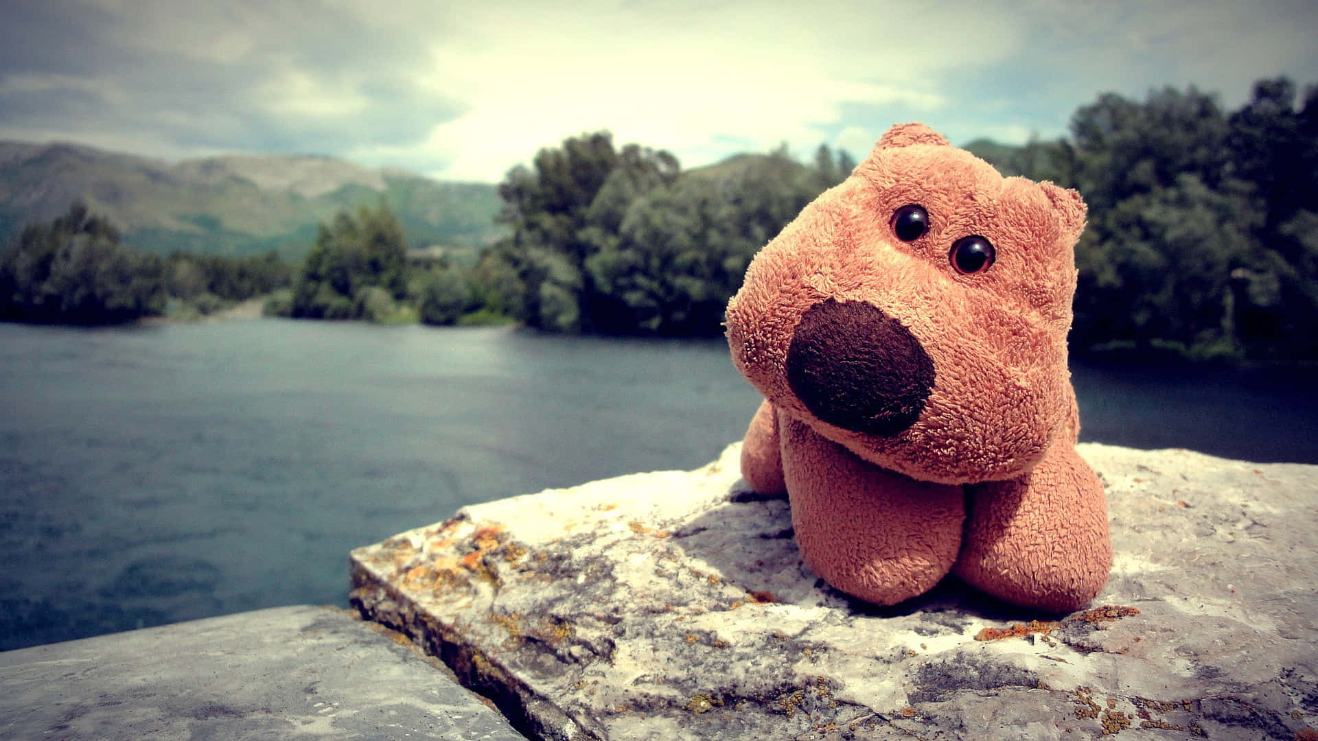 Cuddly Teddy Bear on Soft Bed Sheets Wallpaper