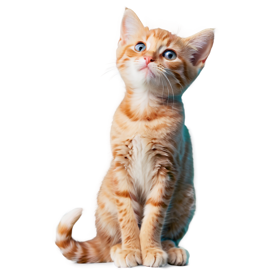 Cuddly Kitty Pose Png 58 PNG