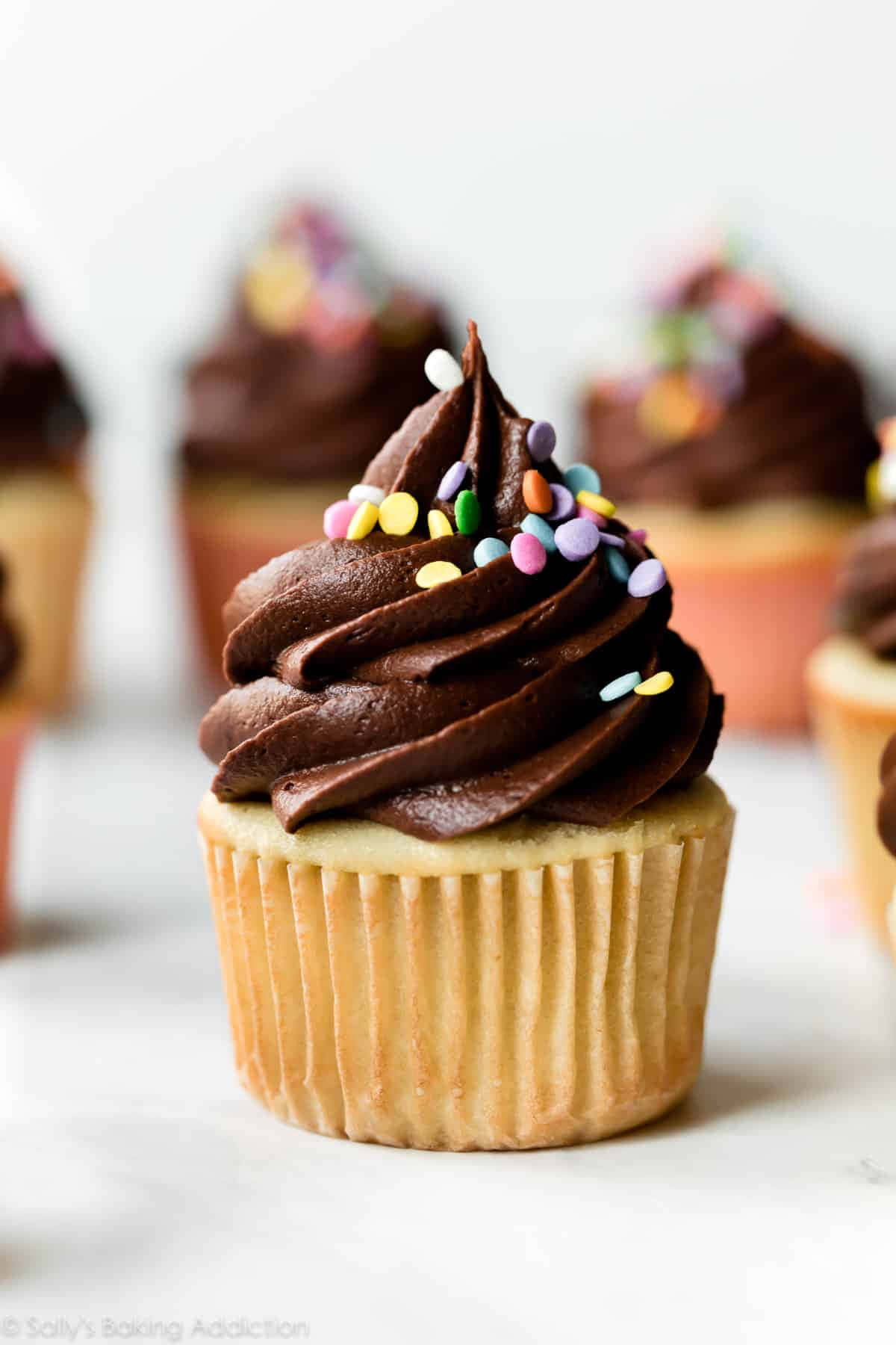 "Satisfy your sweet tooth with this delicious cupcake!"