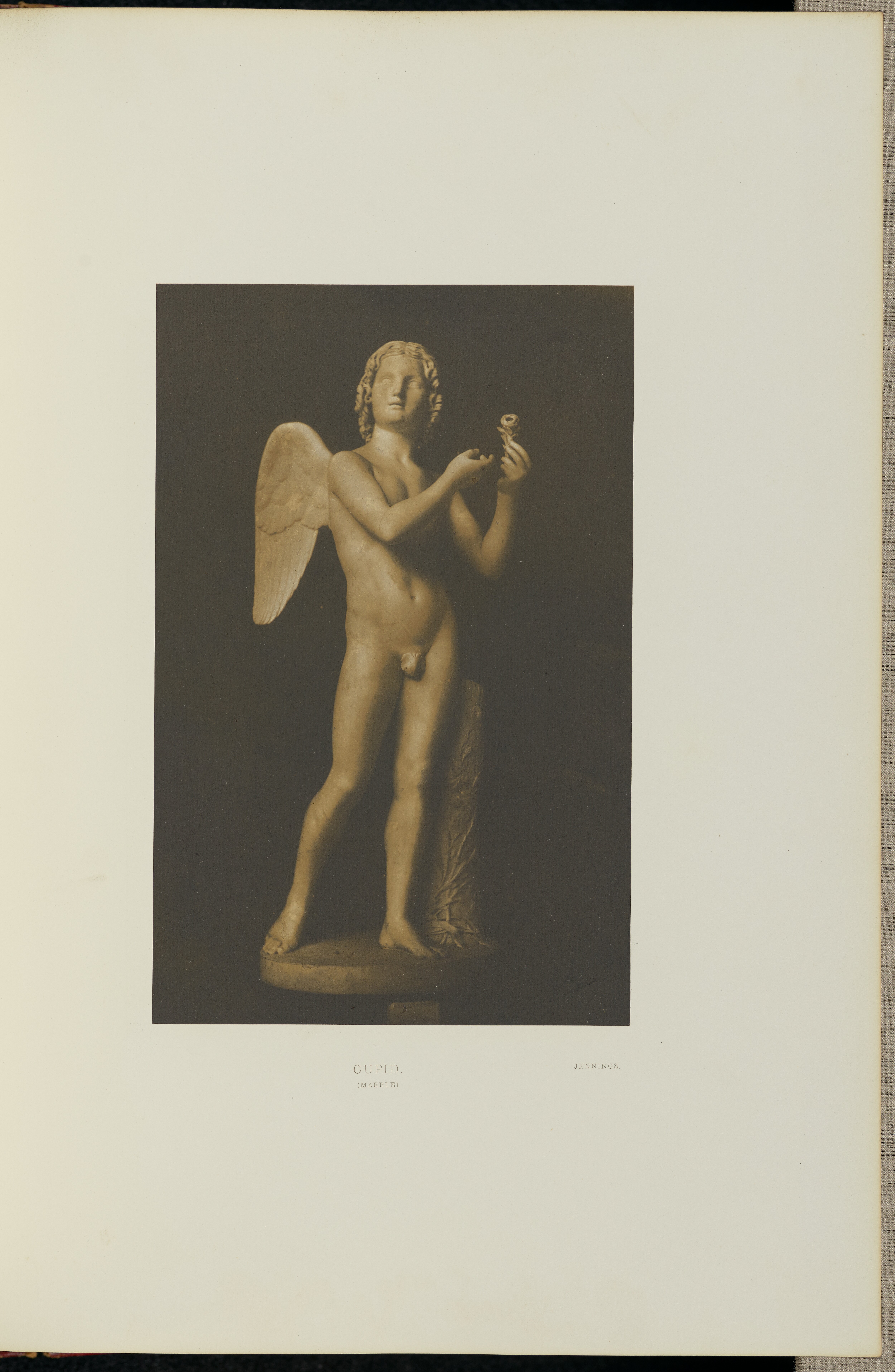 Cupid Wallpaper