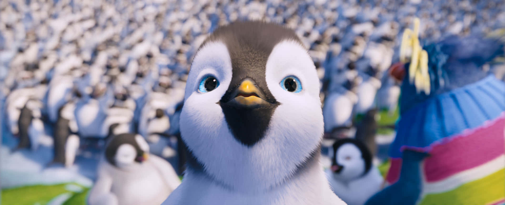 Curious Erik From Happy Feet Two Wallpaper